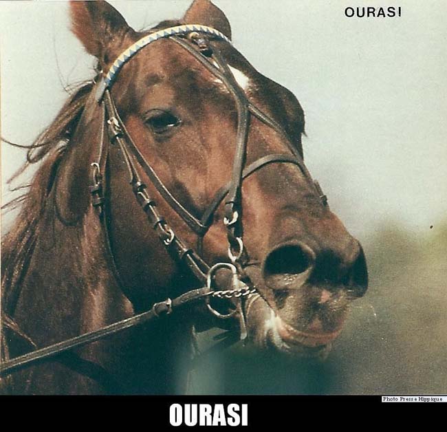 Ourasi